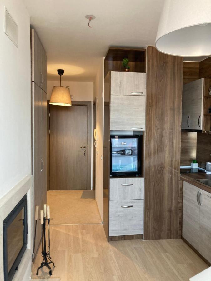 Mirabell Studio Bansko - Amazing View & Fireplace 외부 사진