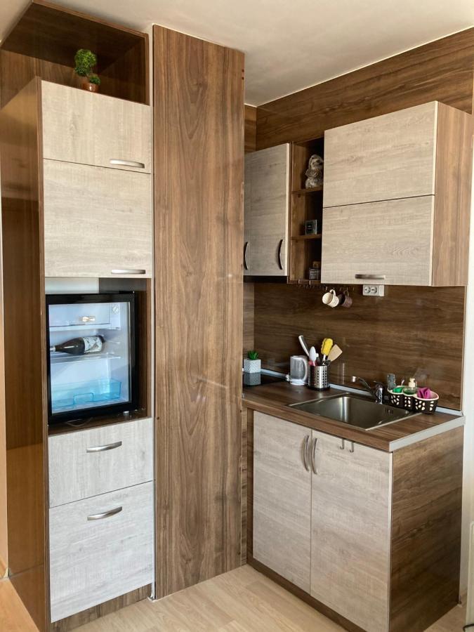 Mirabell Studio Bansko - Amazing View & Fireplace 외부 사진