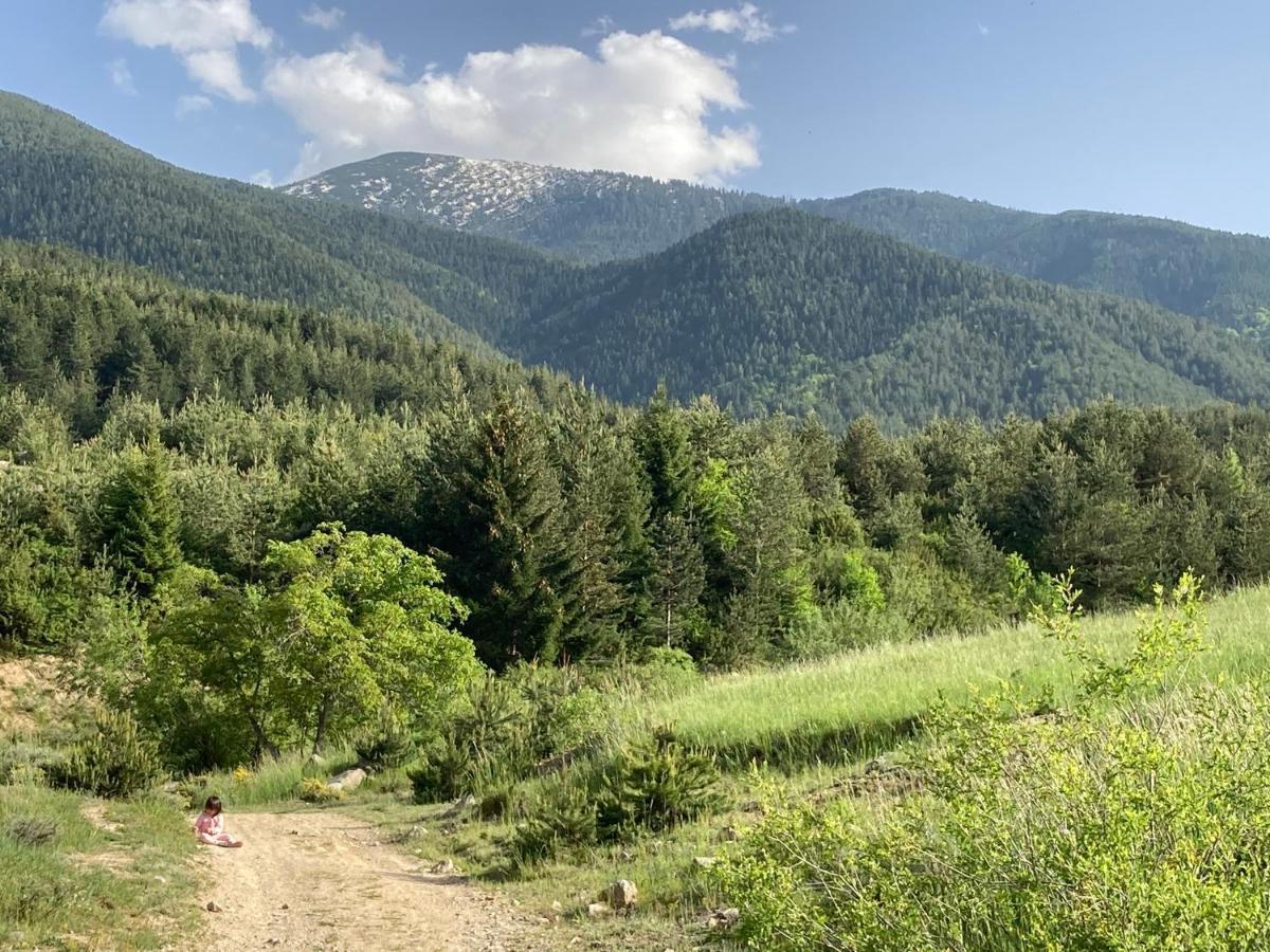 Mirabell Studio Bansko - Amazing View & Fireplace 외부 사진